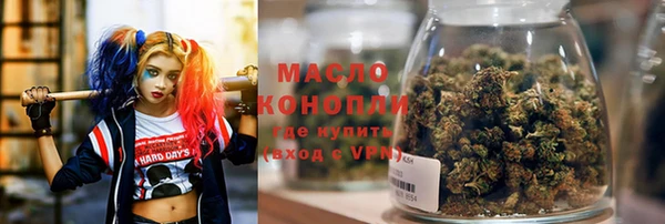 стаф Медногорск