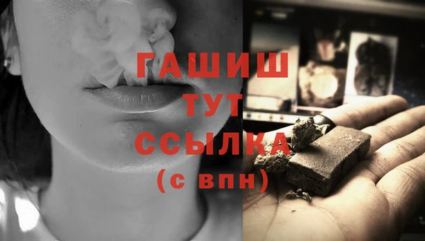 стаф Медногорск