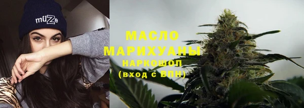 стаф Медногорск