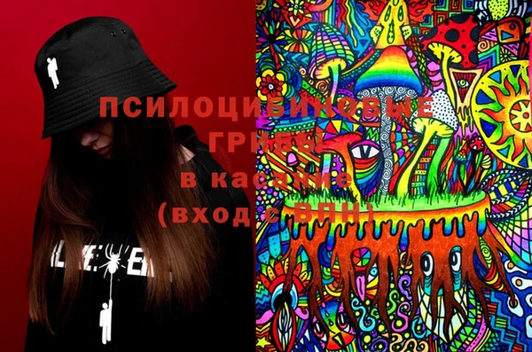 стаф Медногорск
