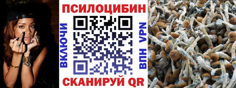 дарк нет формула  Рязань  Псилоцибиновые грибы Psilocybine cubensis 
