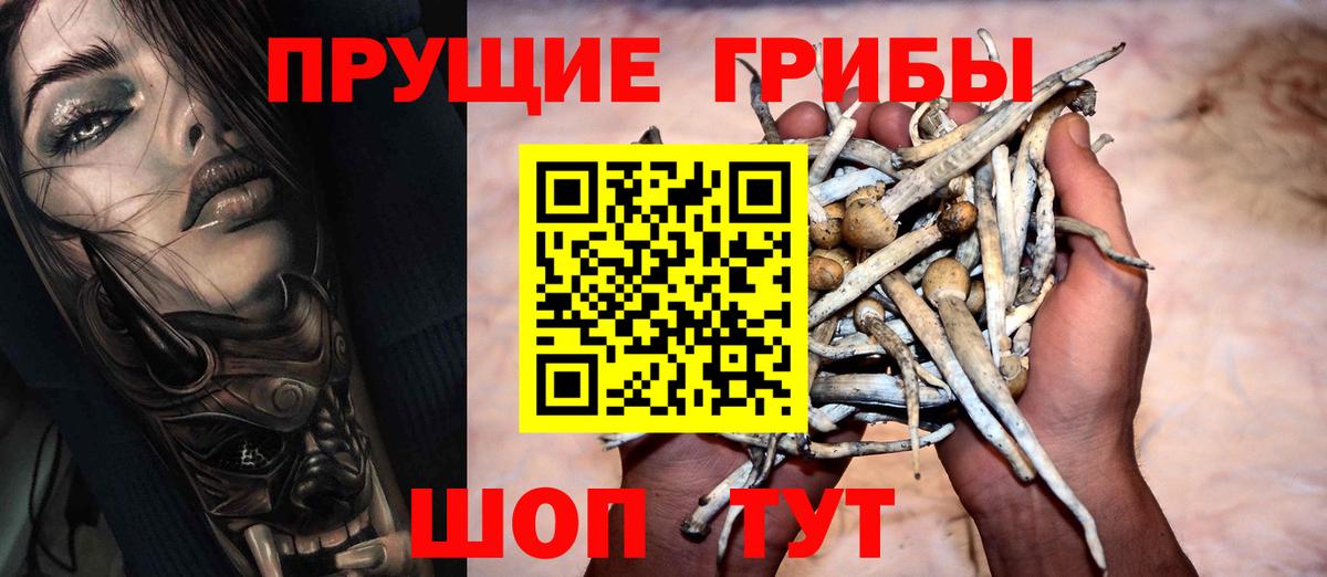 Псилоцибиновые грибы Cubensis Рязань