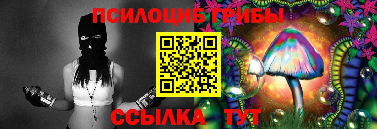 Псилоцибиновые грибы Magic Shrooms  Вход с VPN  Рязань  Псилоцибиновые грибы ЛСД 